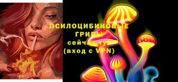 PSILOCYBIN Гусев