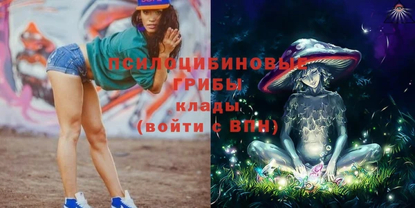 ALPHA-PVP Гусь-Хрустальный