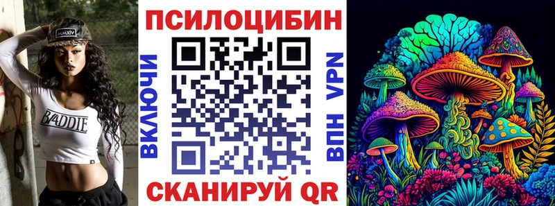 Псилоцибиновые грибы мицелий  Купить закладки  Буинск 