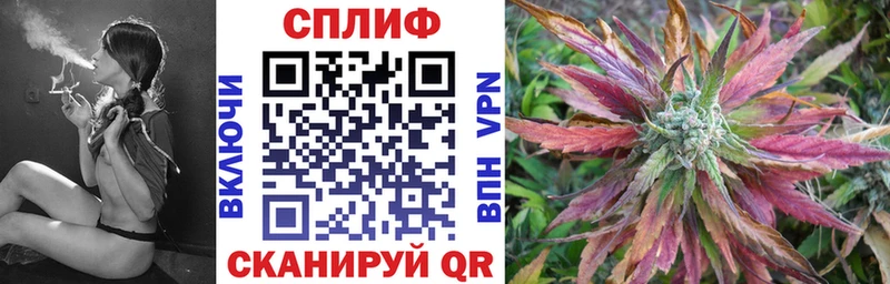 Шишки марихуана планчик  Купить закладки  Буинск 